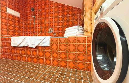 FeWo Aloisius im Allgäu - Hunde willkommen, Workation & Westbalkon, inkl Königscard - Foto 21