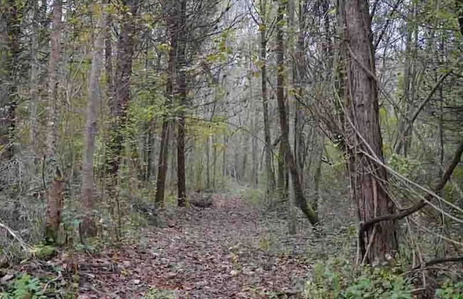 Colleverde Country House Beauty&Wellness - Foto 78