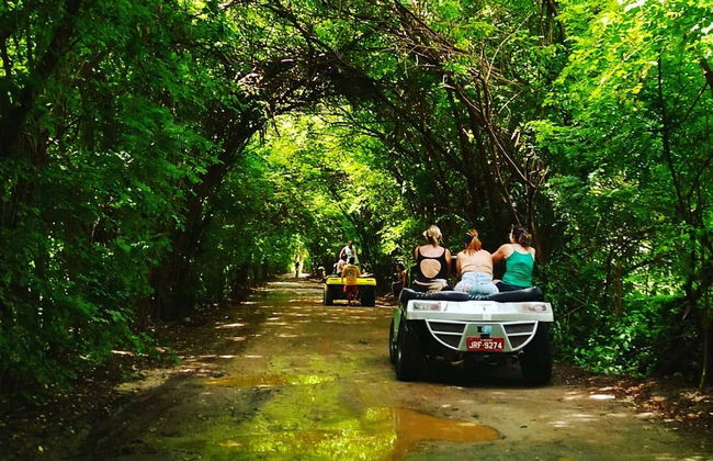 Tour en buggy por Maragogi - Foto 6