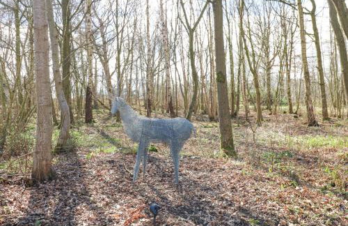 The Leveret - Photo 17