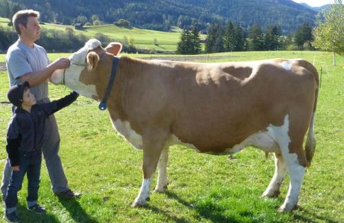 Appartements Burgerhof - Foto 37