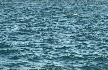 CANNES: Appartement Cosy à 2 pas de la Croisette - Foto 35