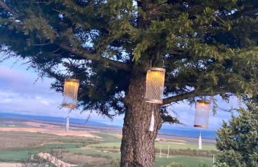 Fresno Vista - Photo 44