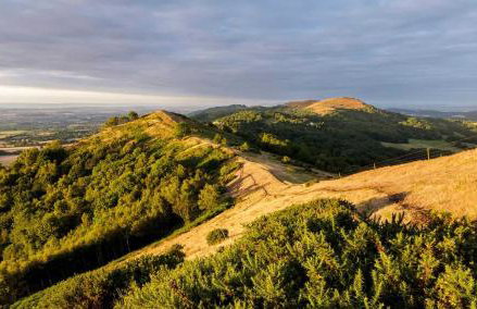 Walwyn Court Barns - Foto 48