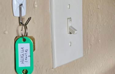 Yonegan Plumeria Hilo Hotel - Foto 62