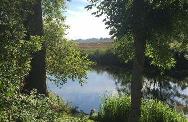 Ferienhaus Scholien - Foto 41