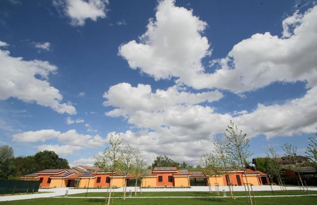 Lucciole nella nebbia - Foto 34