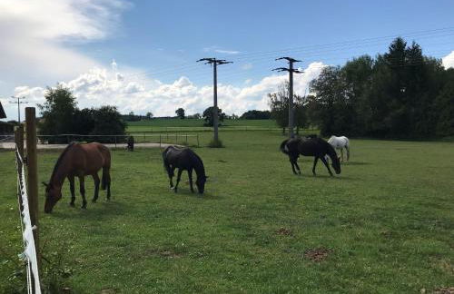 Beim Hofbauer - Foto 20