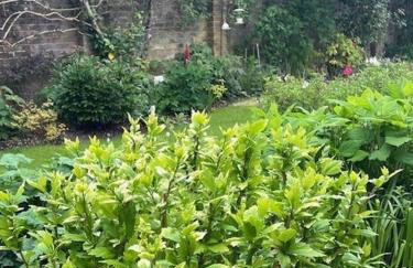 The Resting Shepherd - Foto 8