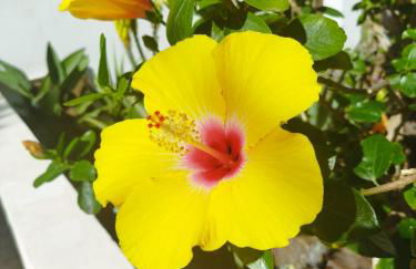 Casa de María Luisa - Foto 28