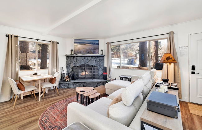 Sugar Bear Crossing #2496 - Foto 13