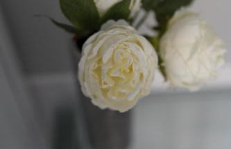 Golfo dei Poeti Retreat - Foto 17