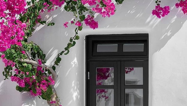 Mykonos Shore Excursion: Private Old Town Walking Tour - Photo 2