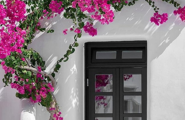 Excursión por la costa de Mykonos: recorrido privado a pie por el casco antiguo - Foto 2