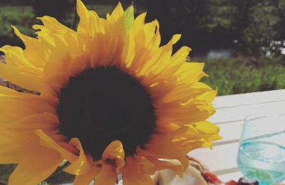 Elishaw Farm Holiday Cottages - Foto 45