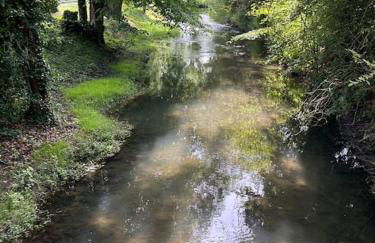 Le nid de Sitelle, appartement, piscine et sauna - Foto 48