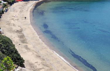 Villa dei Cavallucci Marini - Foto 2