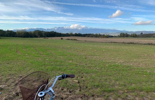Casa do Alfaiate - Foto 45