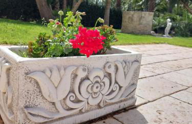 Tenuta Costa - Foto 36