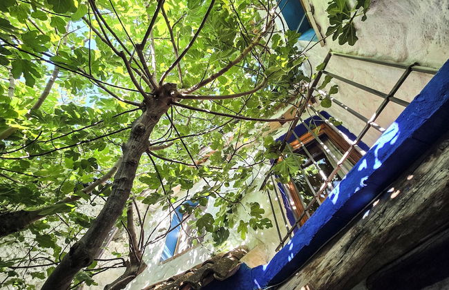 Casas rurales la Tejeruela - Foto 64