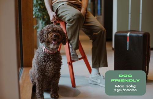 Kora Green City - Aparthotel Passivhaus - Foto 86