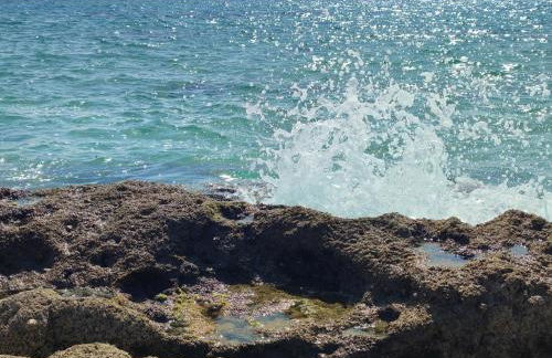 El Abejaruco - Foto 7