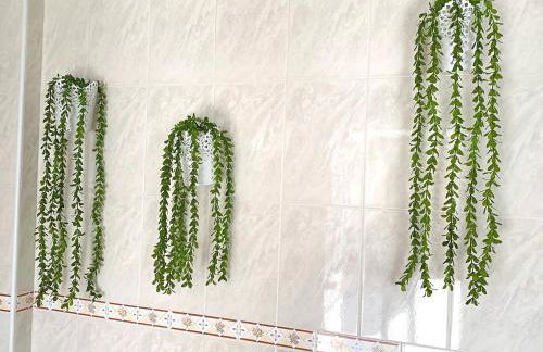 Duarte Houses - Casa T1 - com vista mar - Foto 18