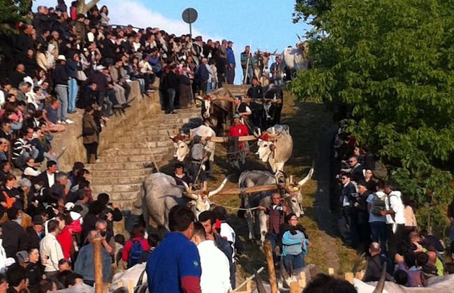 La Cantina del Convento - Photo 29