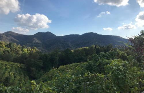 CASA San Gallo - Foto 39