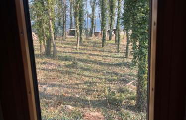 Fewo am Strand in Koserow - Casa del Mar - 42m bis zum Strand - Foto 22