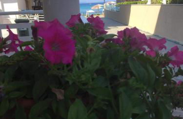 Polistilo Spiti - Foto 26