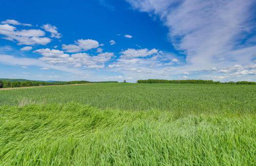 Wellsboro Farmhouse with Grill and Fire Pit! - Foto 30