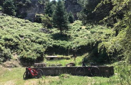 CASA PETRA : Bonita casa rural en Yunquera - Foto 15