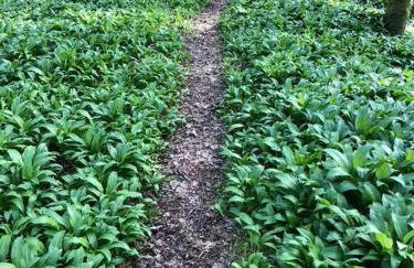 3 BR Luxury Apt at Highland Club - Fort Augustus - Foto 17