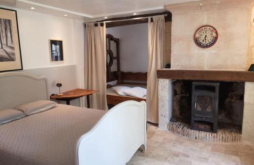 Chenonceau et le zoo de Beauval à deux pas - Foto 6