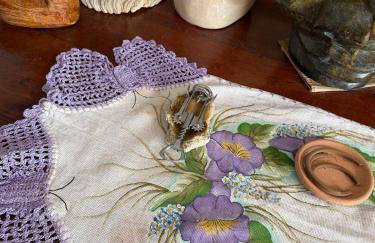 casa completa rustica 2km do centro - Foto 17