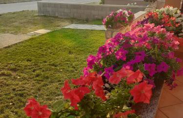 Apartmani Ruža - Photo 10