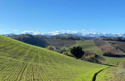 Apartment in Sant'angelo Near Medieval Town - Foto 57