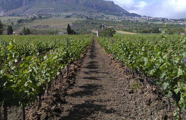 Agriturismo Castelluzzo - Foto 32