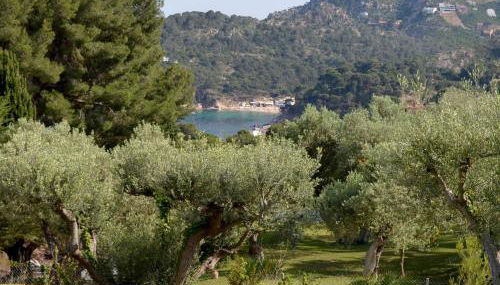 Illa blanca - Foto 5