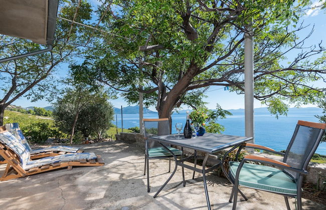 Country Home Dingač - Photo 18