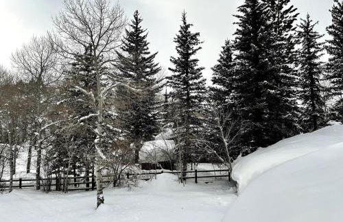 Large Family Cabin Near Park City - Foto 28