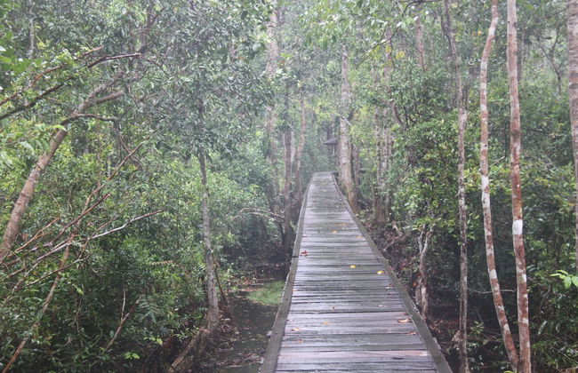 Houseboat Bee Kelotok - Foto 66