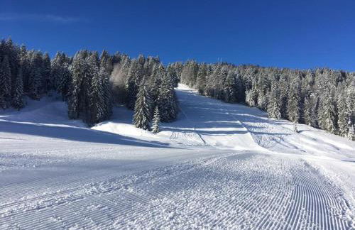 Ferienhof Wäldle - Wäldle 1 und Wäldle 2 mit Motorradvermietung - Photo 75