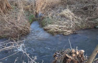 Ferienwohnung Why Not - Photo 7