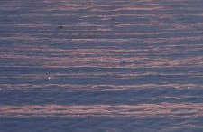 Agroturystyka u podnóża Gór Sowich - Foto 25