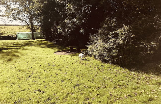 3 Bedroom Country Retreat - Dogs Welcome - Foto 16