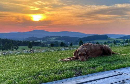 FichtelTijd Wellness Sauna Whirlpool - Foto 30