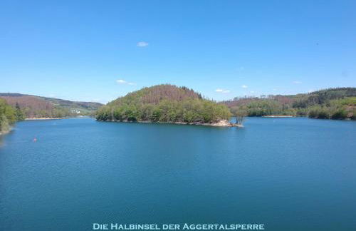 Seeblick-Ferienwohnung im "Ferienhaus Agger-Blick" mit traumhafter Sonnen-Terrasse, Sauna, E-Kamin & Kajak - Foto 8