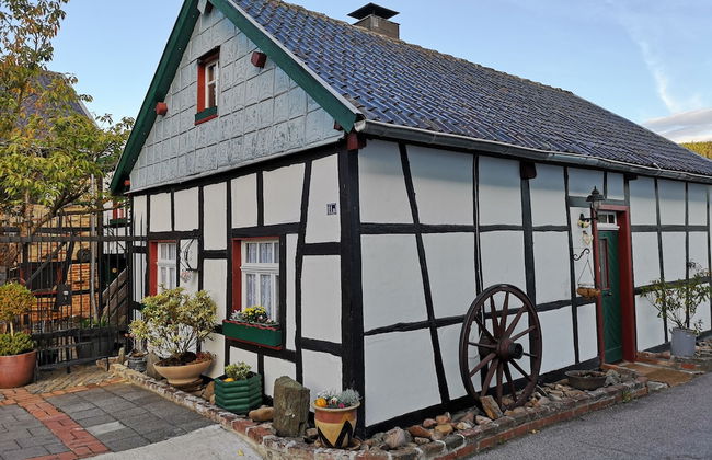 Ferienhof Schmickerath - Foto 29